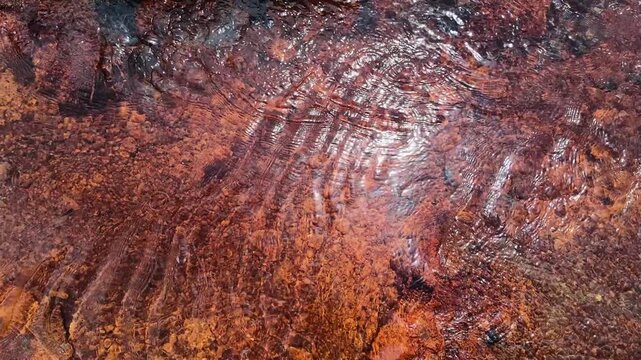 Sunlight reflecting on clear shallow water flowing over a textured rusty red riverbed with ripple patterns, ideal for nature documentaries and organic background textures