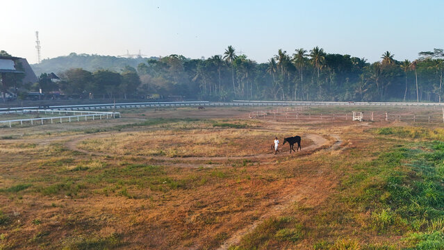 Aerial view of Arena Pacuan Kuda Tegalwaton with a person walking a horse on the track surrounded by lush palm trees and greenery in Kecamatan Tengaran, Jawa Tengah, Indonesia.