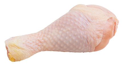 Raw chicken drumstick with skin and bone © Andrei