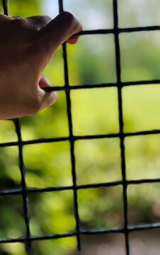 A close-up shot of a persons hand tightly gripping a black metal fence with a blurred background of lush green vegetation and a light blue sky, suggesting a desire for freedom or escape. The image