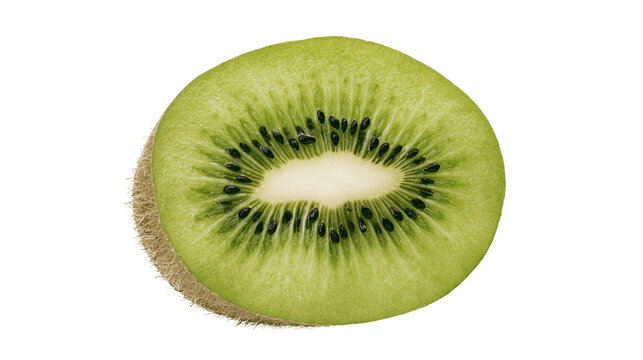 Kiwi fruit slice with green flesh and black seeds