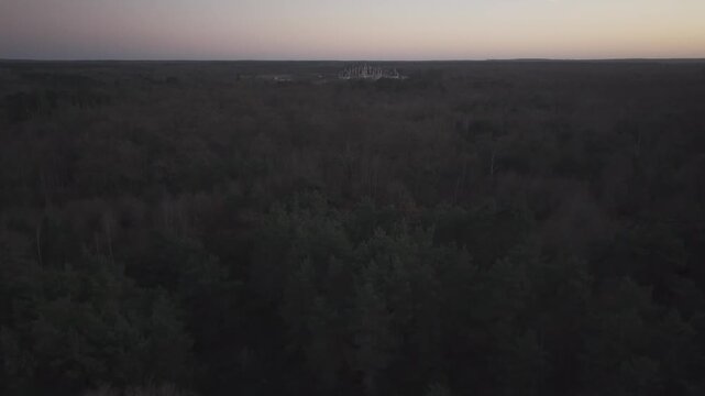 An aerial view passes low over a dark forest canopy at dusk in the Loire Valley, France.