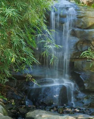 Fotobehang Badkamer Small cascading waterfall flowing over dark rocks surrounded by lush green bamboo foliage in natural sunlight at Taronga Zoo, Sydney, Australia.  © Stacey