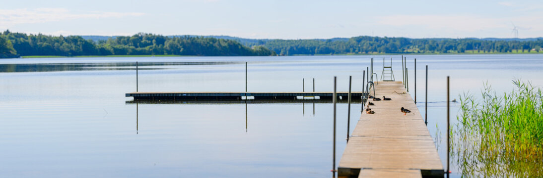 Wooden pier with mallard ducks Anas platyrhynchos on calm lake.