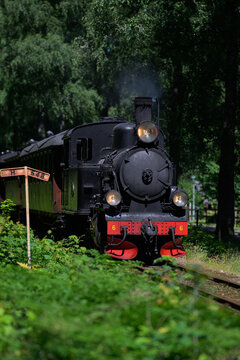 Classic steam locomotive front view under leafy forest canopy.