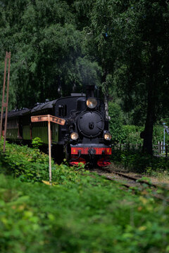 Historic steam engine pulling green carriages through forest.