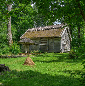Historic wooden farm building with thatched roof in green woodland clearing.