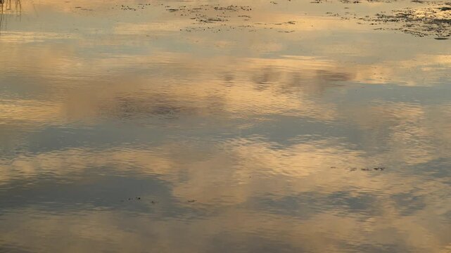 Louisiana, This image depicts a serene water surface reflecting the colors of a sunset or sunrise.