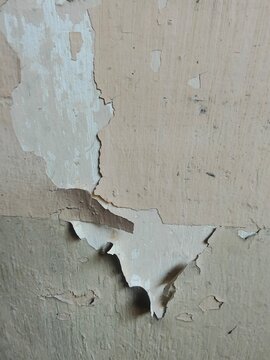 A detailed close-up photograph capturing severe weathering and decay on an old wall surface. Multiple layers of aged beige and cream paint are delaminating and peeling away from the rougher concrete o