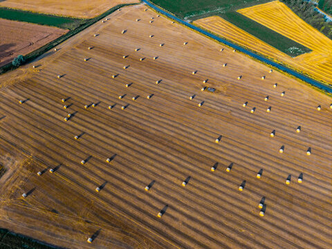 Aerial view of a harvested agricultural field filled with numerous round hay bales, featuring golden stubble rows and adjacent green and yellow fields in Tournai, Wallonia, Belgium.