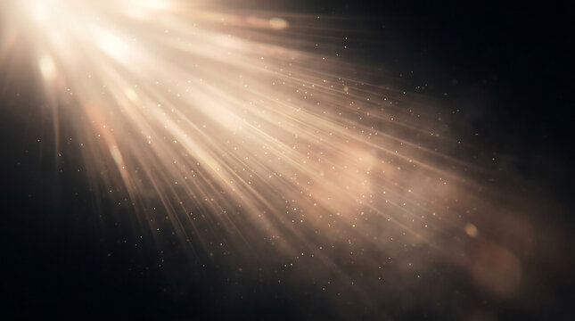 Cinematic sun rays with floating dust particles, golden light beams on dark background, ethereal lens flare overlay for creative design