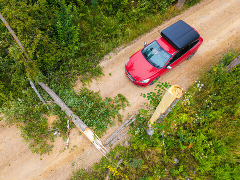 Aerial view of a red car with a roof box stopped on a dirt road in a forest, blocked by a fallen tree in Valgunde Parish, Jelgava Municipality, Latvia.