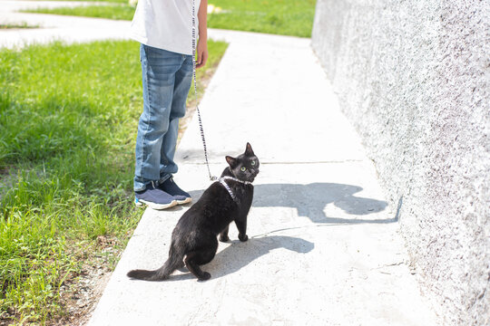 A boy walks with a black cat outdoors. 