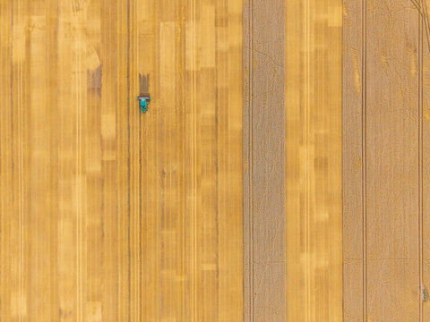 Aerial view of a broken combine harvester in a large golden wheat field with visible tractor tracks in Kazupe, Dobele Municipality, Latvia.