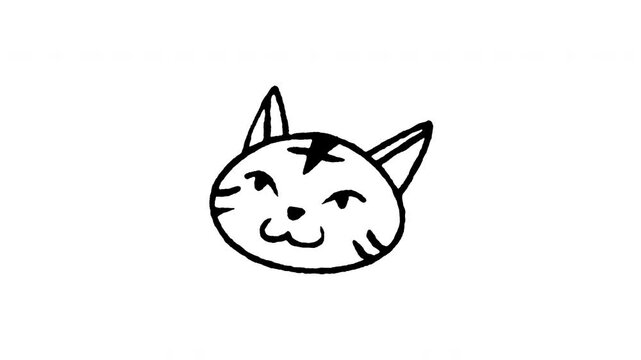 Hand drawn 4K tiger or cat head doodle animation with boiling line effect. Frame by frame outline on black and green screen backgrounds, perfect for feline pet, wild tiger face, cat head.