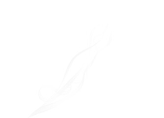Obraz premium Realistic Wispy Smoke PNG Isolated on Transparent Background Natural Mist Overlay