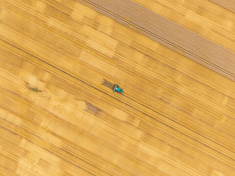 Aerial view of a broken combine harvester in a golden wheat field during harvest season in Kazupe, Dobele Municipality, Latvia.