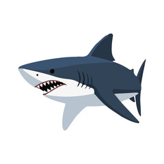 Fototapeta premium shark cartoon isolated on white