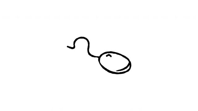 Animated 4K computer mouse doodle icon with line boil action. Hand drawn line art on black and green screen backgrounds for PC mouse device, desktop scroll hardware, click tool video edits.