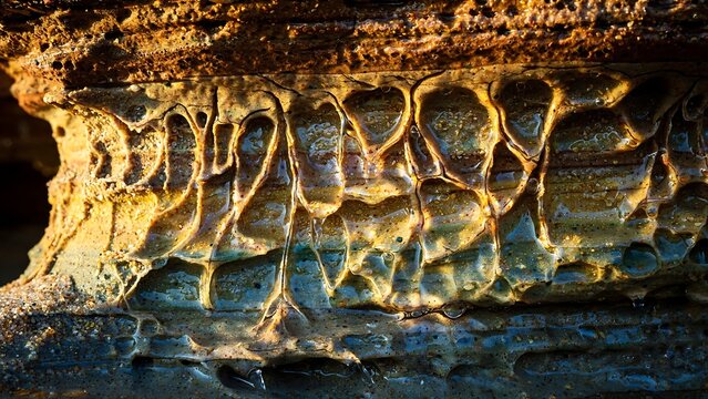 Macro Sandstone Surface Showing Natural Capillary Weathering Patterns