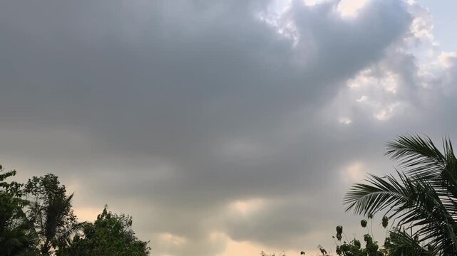 Heavy storm clouds filling the sky while tree branches sway in the wind, creating a dramatic weather scene before rainfall.