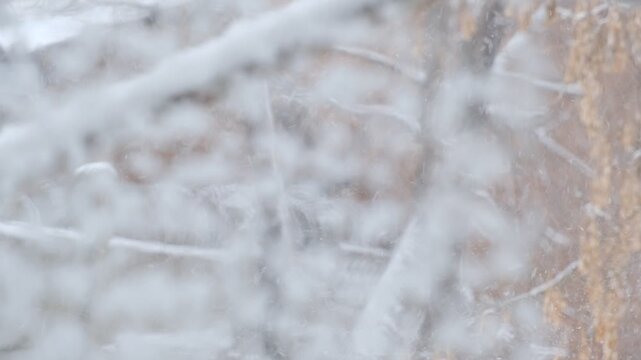 Frosty window, dreamy, coziness and tranquility. Atmosphere is calm and quiet, reflecting the peaceful stillness after a snowstorm. Frosty glass, fluffy snow, post-blizzard,  quiet winter, 