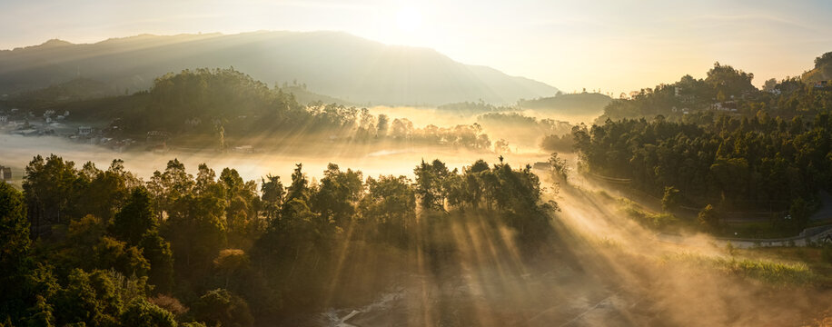 Aerial view of the misty Dieng Plateau at sunrise with golden sun rays filtering through trees and lush forest in Kejajar, Central Java, Indonesia.