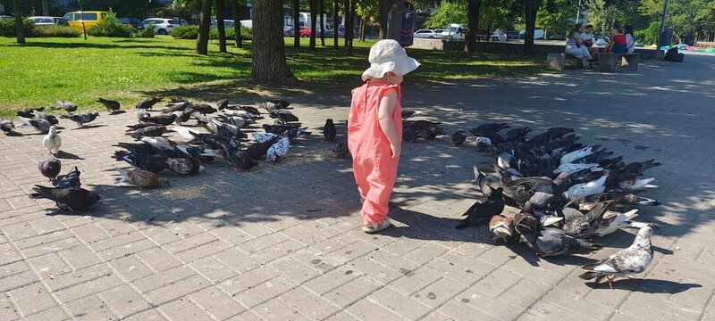 High angle view of toddler child surrounded by flock of pigeons on city square