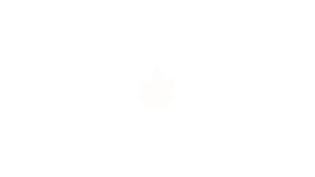 Maple Leaf Sway Animation