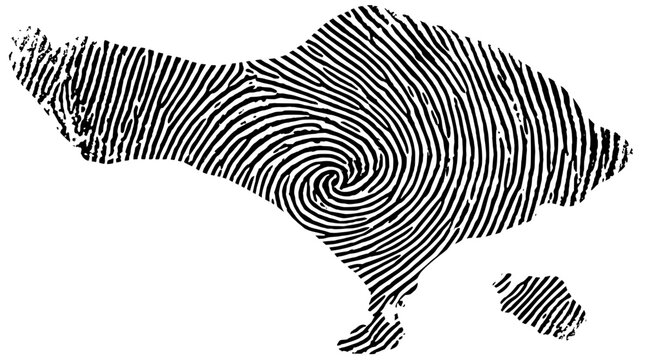 Bali map icon flat vector illustration fingerprint texture black silhouette for travel and identity design