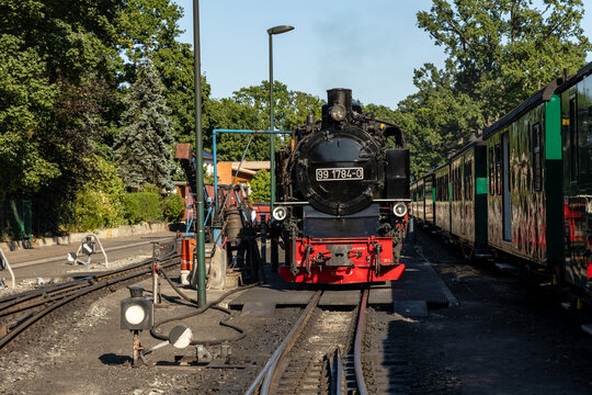 Schmalspurbahn auf R&uuml;gen
