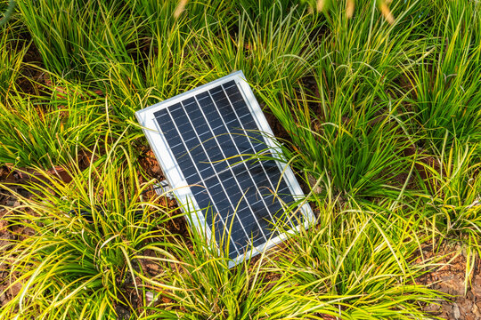 solar garden light in a flower bed, energy saving and environmetally friendly concept