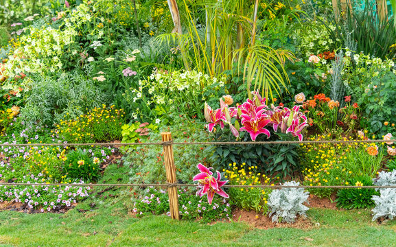 Pile of sharp wood, wooden fence posts in flower garden