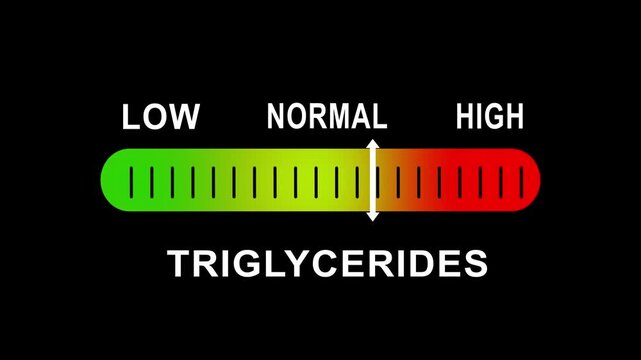 Triglycerides level indicator gauge animation: low, normal, and health monitoring for medical and wellness presentations