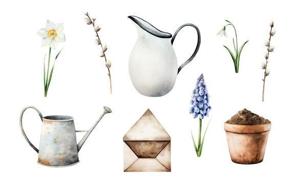 Watering can, porcelain jug, envelope, daffodi snowdrop, muscari flowers. Watercolor spring willow branches, easter illustration, garden supplies isolated on background, transparent png. Botanical spr