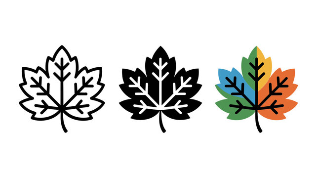 Maple leaf icon set, autumn foliage vector, colorful fall leaf logo symbols Editable Vector