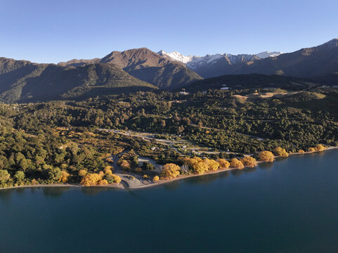 Aerial view of Lake Hawea with golden autumn trees along the shoreline, lush green hills, and snow-capped mountains in the background in Otago Region, New Zealand.