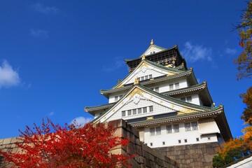 Naklejka premium Osaka Castle, Japan. Japanese Castle. Japan architecture landmark photo with autumn leaves.