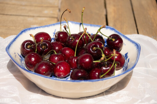 Fresh Ripe Cherries in Sunlight on a Rustic Cottage Garden Table