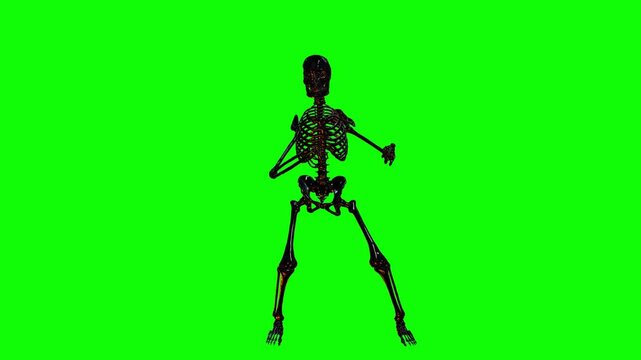 Single 3D skeleton dancing rhythmically with arms raised on a green screen for Halloween DJ visuals and compositing