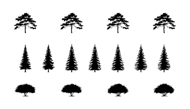 Collection of Pine Spruce and Deciduous Tree Silhouettes with Transparent Background pine tree