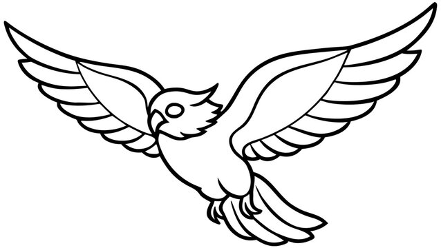 Black and white bird flying with spread wings
