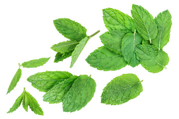 fresh green mint leaves isolated on white background, top view. Flat lay © kolesnikovserg
