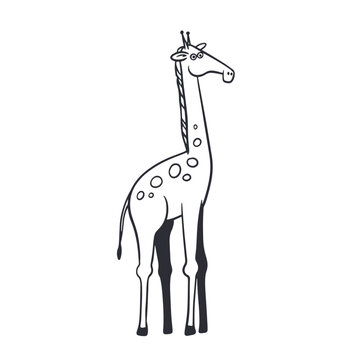 Cute cartoon giraffe vector illustration, funny tall safari animal character line art for kids coloring book, nursery design or educational material.