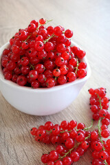Freshly picked red currant in white bowl vertical photo © hanaga