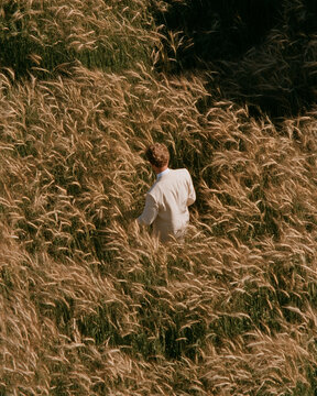 Wanderer in Wheat Field: A lone person is seen walking through a vast field of golden wheat, the stalks rustling in the gentle breeze, evoking a sense of solitude and connection with nature.