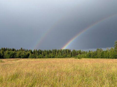 Double rainbow arcs over a grassy field and forest under a stormy sky