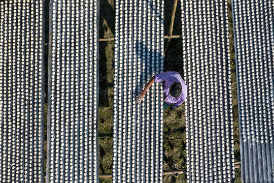 Aerial view of a worker arranging small white food items on long bamboo mats to dry in the sun in Gaibandha, Rangpur Division, Bangladesh.