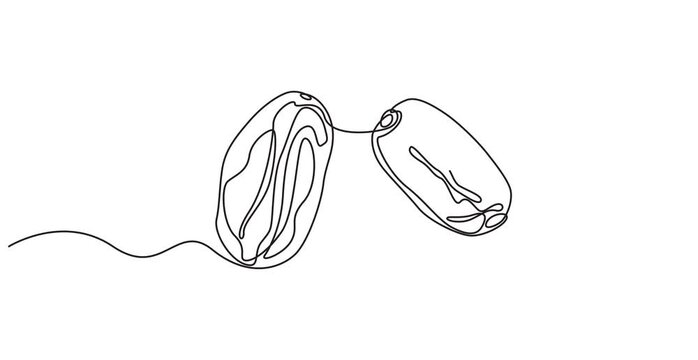 Animated self drawing of continuous line draw whole heap healthy sweet organic fruit dates for orchard logo identity. Fresh palm fruitage concept for fruit garden icon. Full length one line animation,