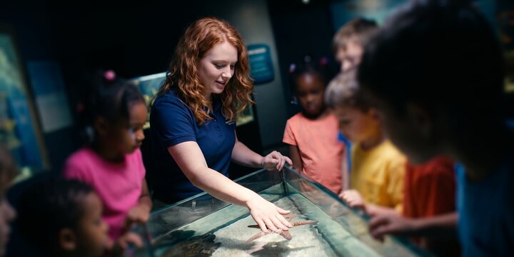Female museum guide with diverse children showcasing interactive touch tank, starfish encounter and marine life lesson, representing ocean discovery and experiential learning
